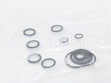 RTG20206 Rheem-Ruud Oring Kit Palona