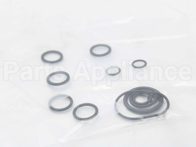 RTG20206 Rheem-Ruud Oring Kit Palona