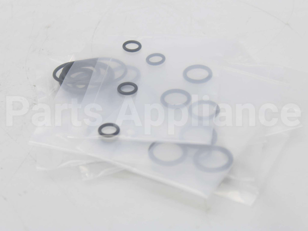RTG20206 Rheem-Ruud Oring Kit Palona