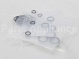 RTG20206 Rheem-Ruud Oring Kit Palona