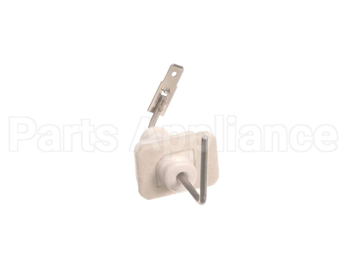 RTG20212BE Rheem Electrode Fl1