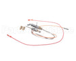 RZ110853 Reznor Pilot Asy Kit Nat Fe/Be Ah2/3
