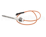 RZ204611 Reznor Dsi Electrode Assy Vr Model