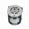S003 Marathon Motor