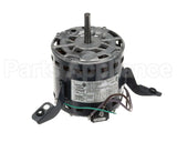 S1-024-40908-000 York 230V1Ph 1/2Hp 1075Rpm 3Spd Ccw
