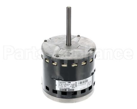 S1-02435850000 York Mtr,Blw,Unprgrm,1/3,230V,Std Ecm,Regal