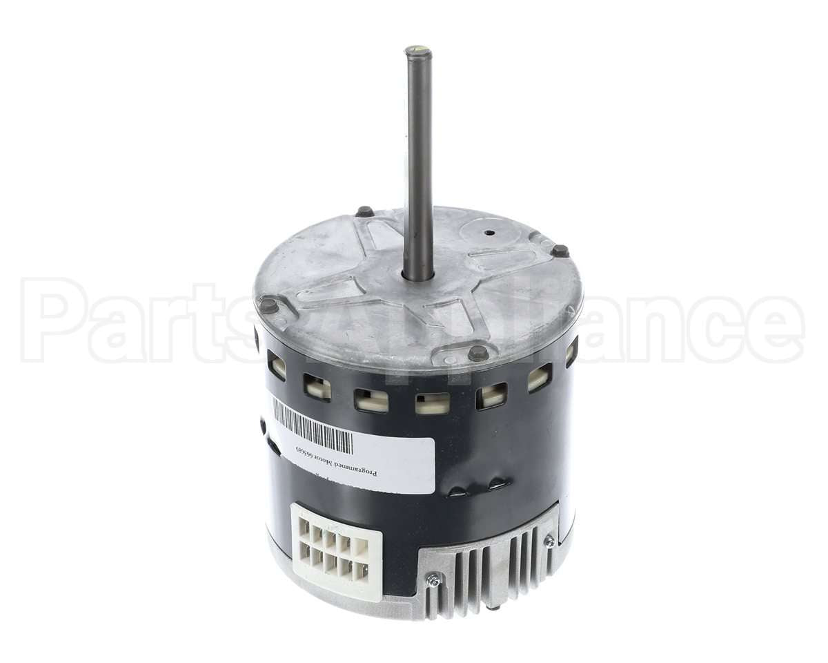 S1-02436012000 York Mtr,Blw,Prgrm,1/3,230V,Std Ecm,Regal