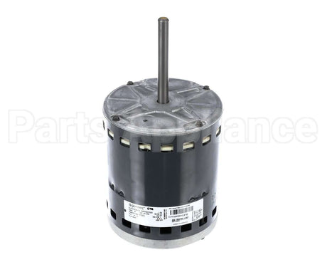 S1-02436016000 York Mtr,Blw,Prgrm,3/4,230V,Std Ecm,Regal