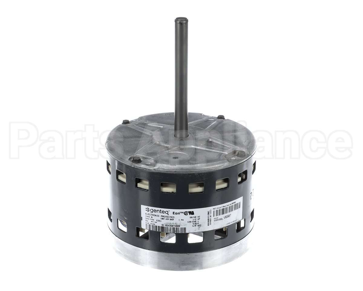 S1-02436073000 York Mtr,Blw,Less Module,1/2,Regal