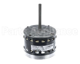 S1-02436073000 York Mtr,Blw,Less Module,1/2,Regal