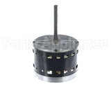 S1-02436073000 York Mtr,Blw,Less Module,1/2,Regal