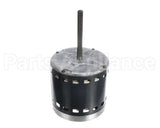 S1-02436074000 York Mtr,Blw,Less Module,3/4,Ecm,Regal