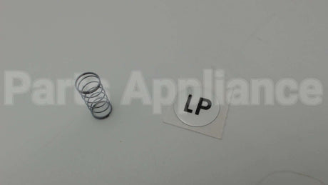S1-025-25463-000 York Lp Conversion Spring
