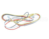 S1-025-35366-003 York Wiring Harness S10