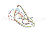 S1-025-35366-003 York Wiring Harness S10