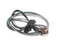 S1-025-42647-000 York Mtr Harness Power