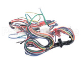 S1-025-46389-000 York Wire Harness Ahv Ecm