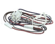 S1-02511415002 York Wire Harness,4Hk (8 & 10 Kw,240-1Ph)