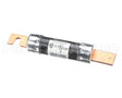 S1-02516371000 York Fuse 100A 250V