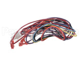 S1-02531810001 York Wire Harness,Gas Valve To Control Board