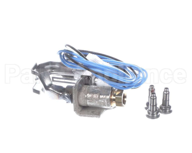 S1-02532780000 York Pilot Ignitor Assembly