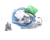 S1-02532780000 York Pilot Ignitor Assembly