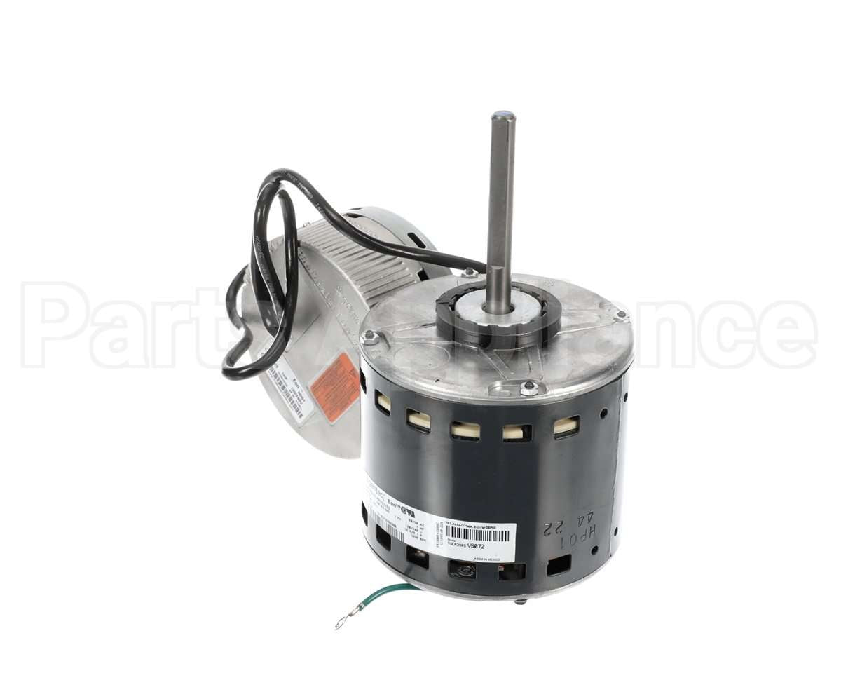 S1-32436086425 York Mtr,Blw,Prgrm,1.0,Std Ecm,Regal