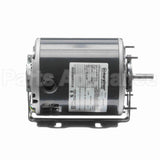 S102 Marathon Motor