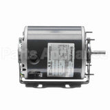 S102 Marathon Motor