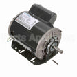 S116 Marathon Motor
