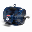 S520 Marathon Kiln Duty Motor