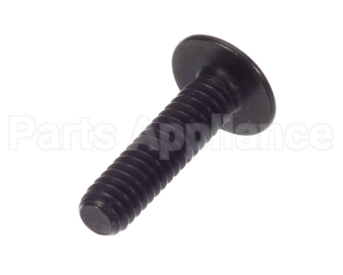 SC01-251 Henny Penny Screw-1/4-20X1 Hex Soc Cap