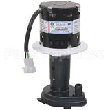 SC12-2919-21 Compatible Scotsman Water Pump