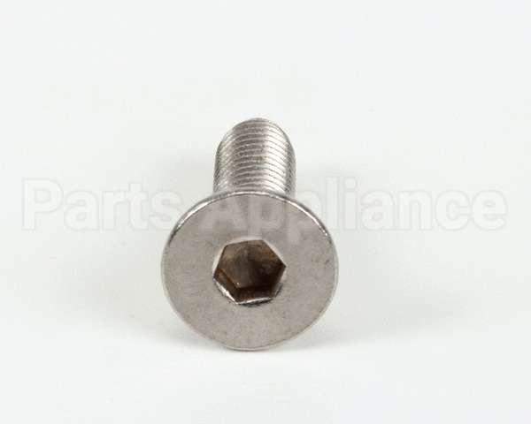 SCR437 Bki Screw,M6 X 22 Soc Flt
