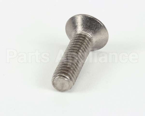 SCR437 Bki Screw,M6 X 22 Soc Flt