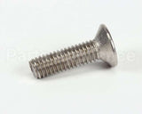 SCR437 Bki Screw,M6 X 22 Soc Flt