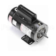 SDS1202 Century Pool And Spa Pump Motor