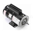 SDS1302 Century Pool And Spa Pump Motor