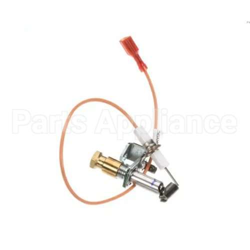 SK9-EZG-995 Compatible Lang Pilot/Ignitor Assy