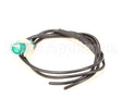 SL300951253 Carpigiani Green Light Pilot 110V Ul Wfl