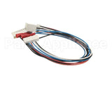 SL320000295 Carpigiani Board Ev Probe Wiring