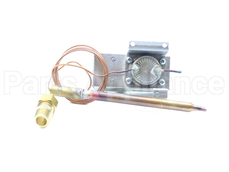 SP11806 Rheem-Ruud High Limit-Commercial Electric