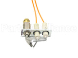 SP13185 Rheem-Ruud Pilot Ingitor Assembly