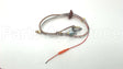 SP20127 Rheem-Ruud Ng Pilot Assembly
