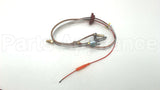 SP20127 Rheem-Ruud Ng Pilot Assembly