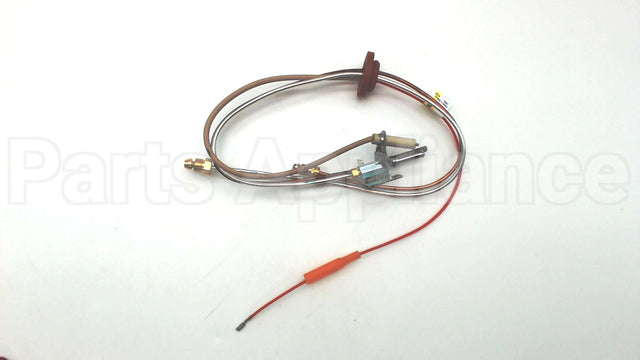 SP20127 Rheem-Ruud Ng Pilot Assembly