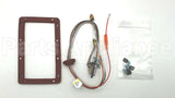SP20127 Rheem-Ruud Ng Pilot Assembly