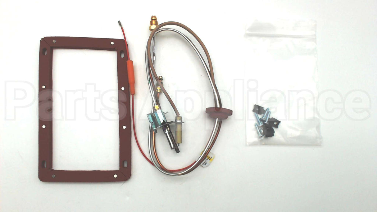 SP20127 Rheem-Ruud Ng Pilot Assembly