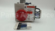SP20161A Rheem-Ruud Ng Comb Valve Replacement Kit