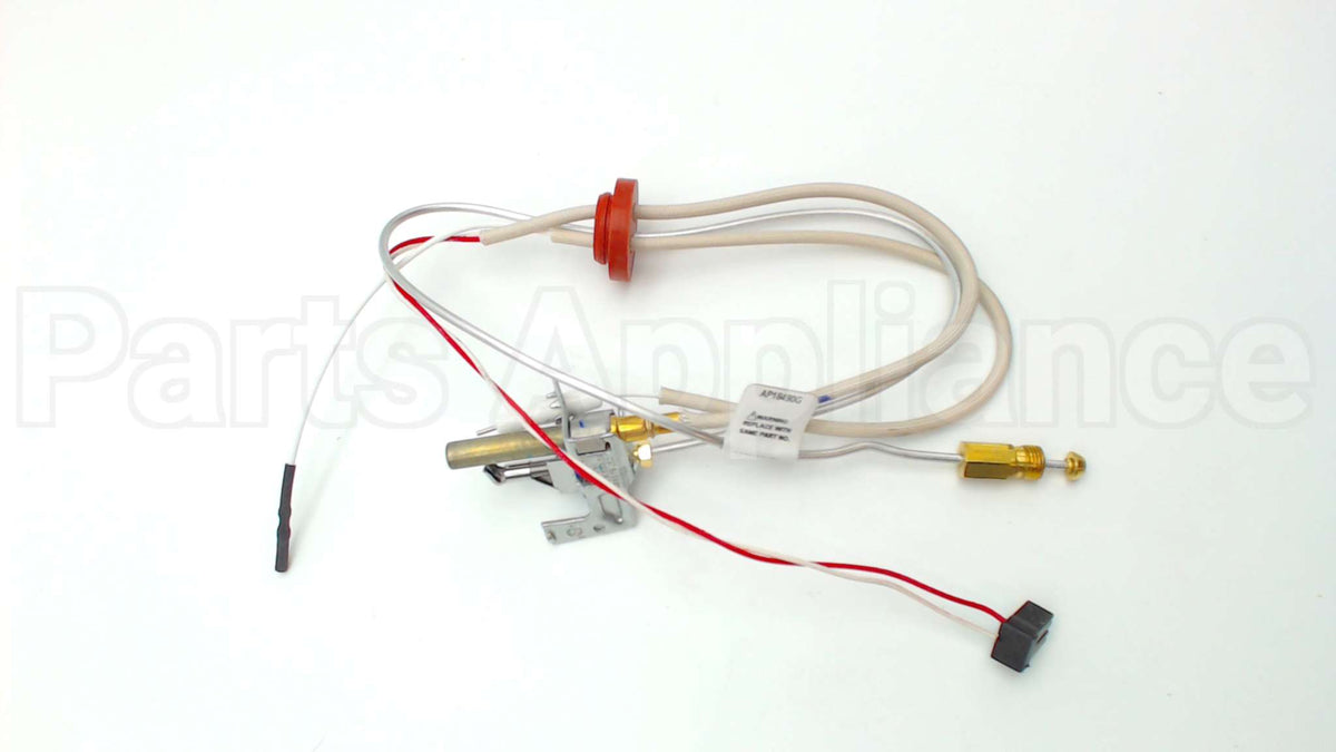 SP20739 Rheem-Ruud Pilot Assembly Ng